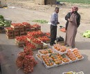 Fruit vendors on Highway * Fruit and vegetable vendors on the highway, on the way to the Dead Sea. * 432 x 358 * (84KB)